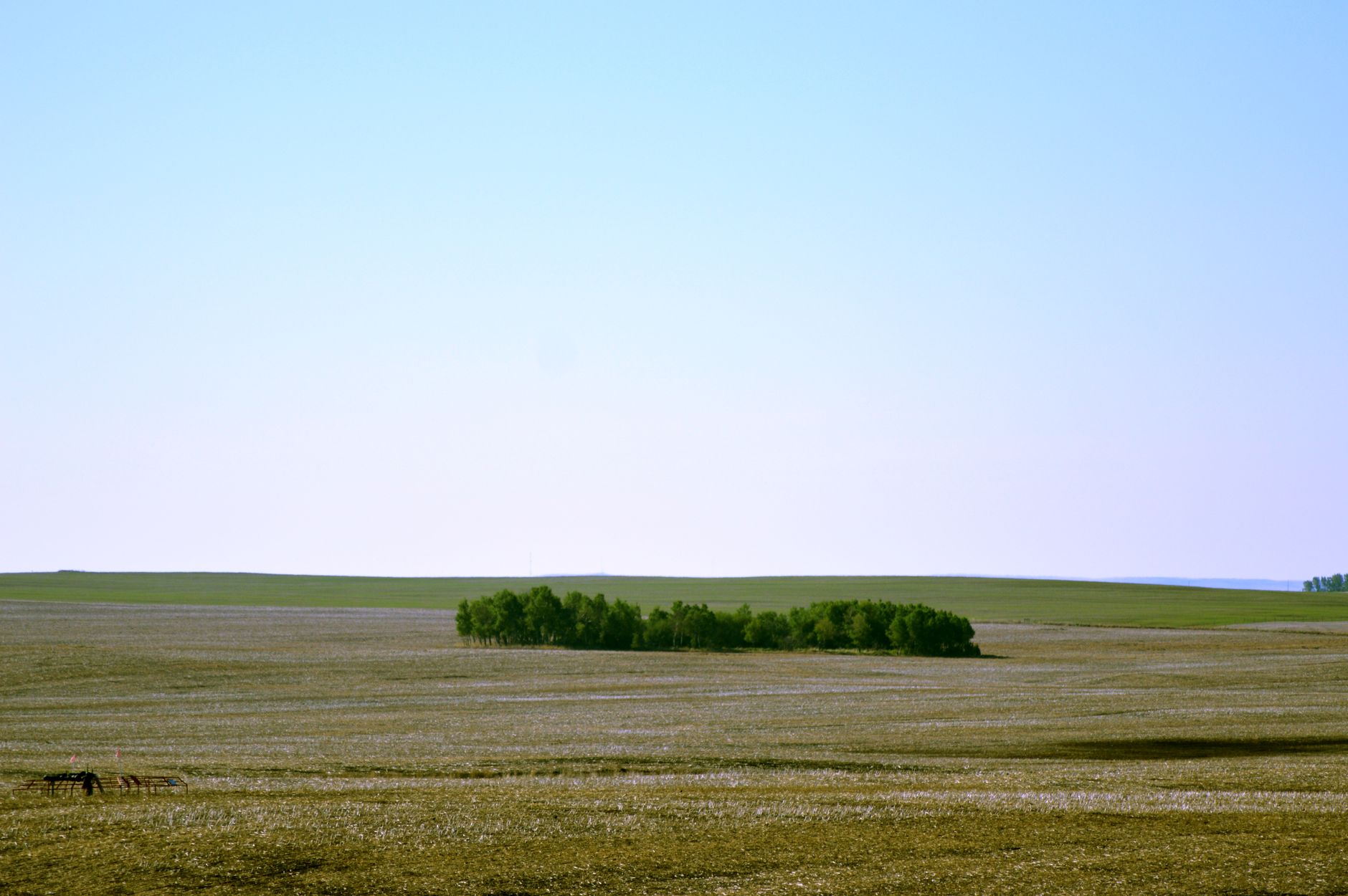 Central Alberta prairie around Red Deer, near the Red Deer Tennis Club's courts