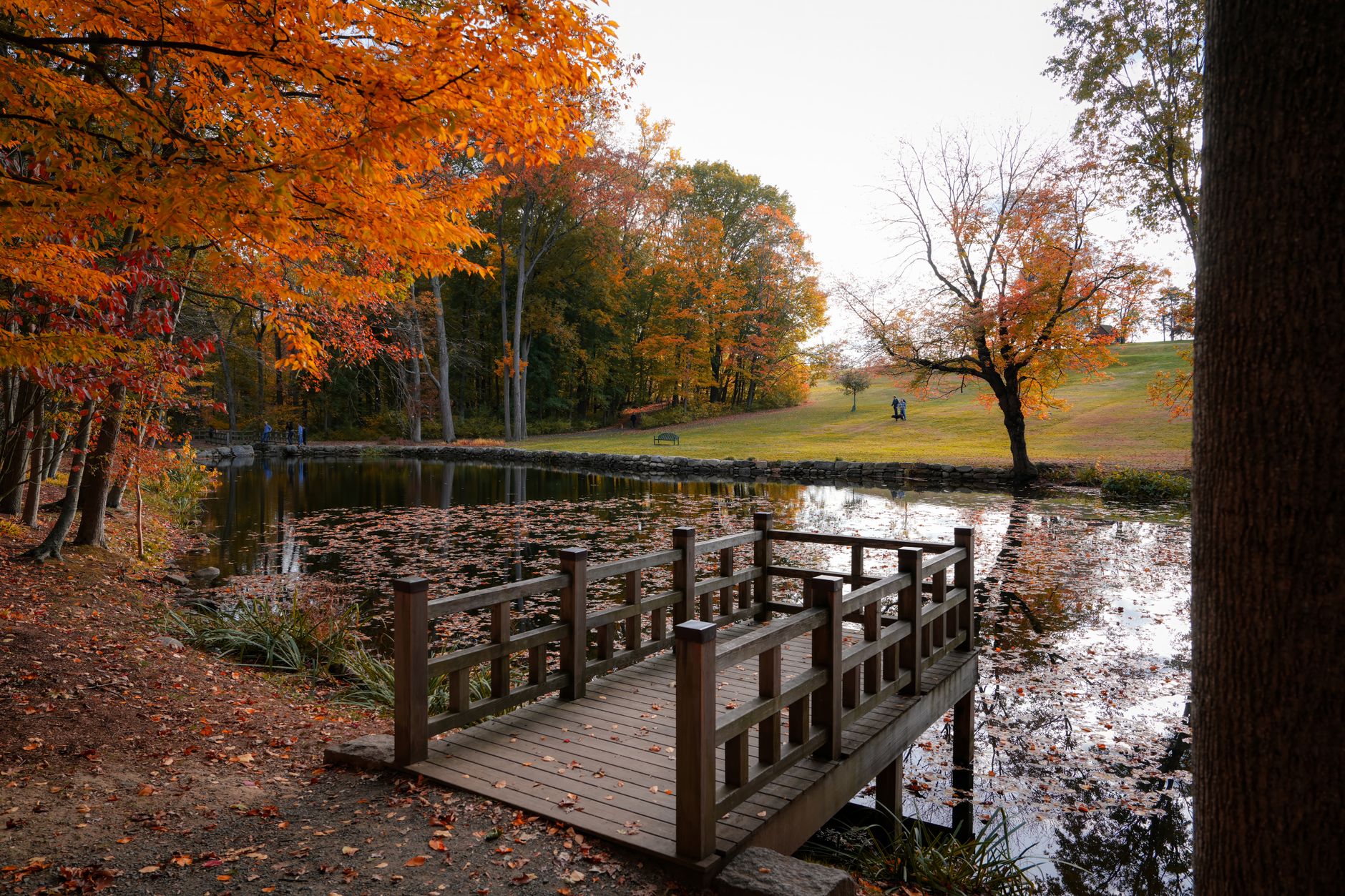 A New Canaan, Connecticut autumn setting, representative of the New England surroundings of New Canaan Racquet Club