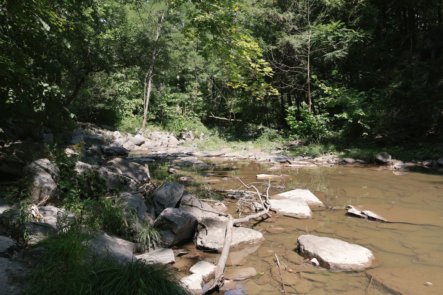 Ravine parkland in North York, Toronto, near Hillcrest Tennis Club's courts