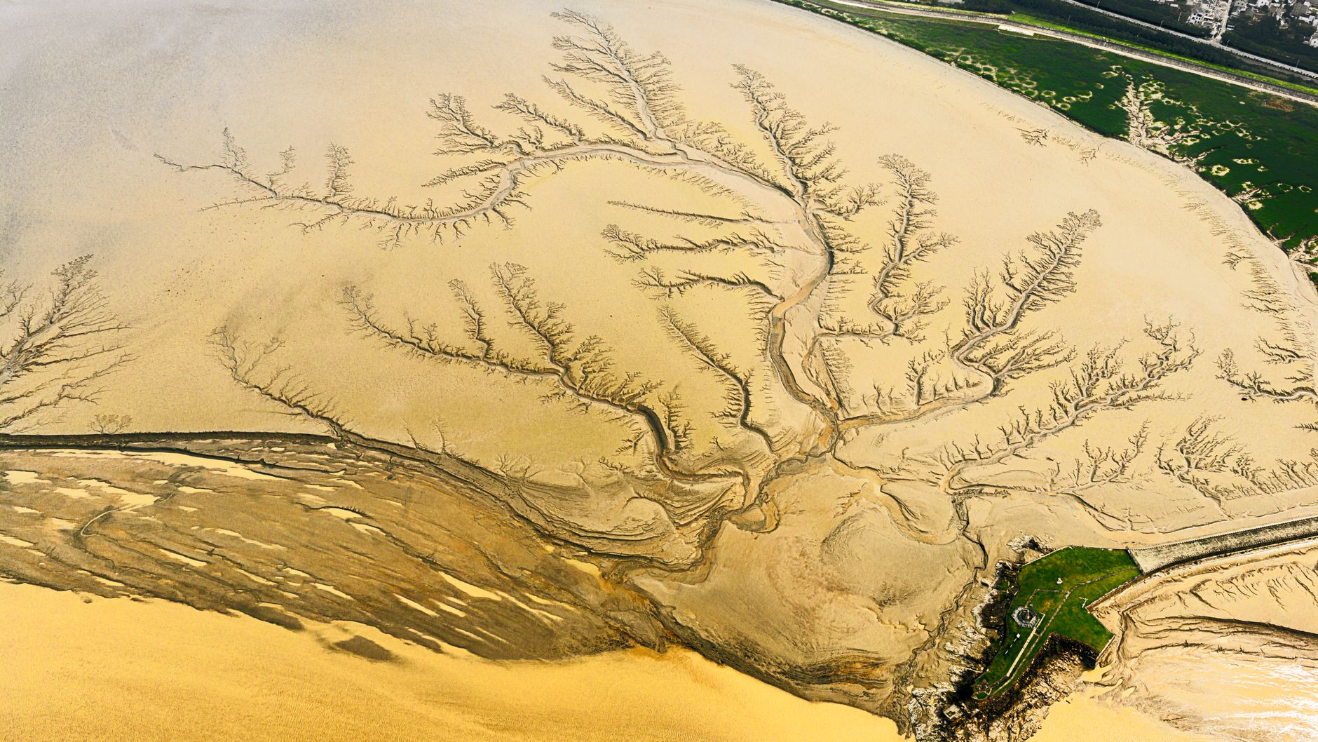 The Fraser River delta around Richmond, near City Tennis Club's indoor courts