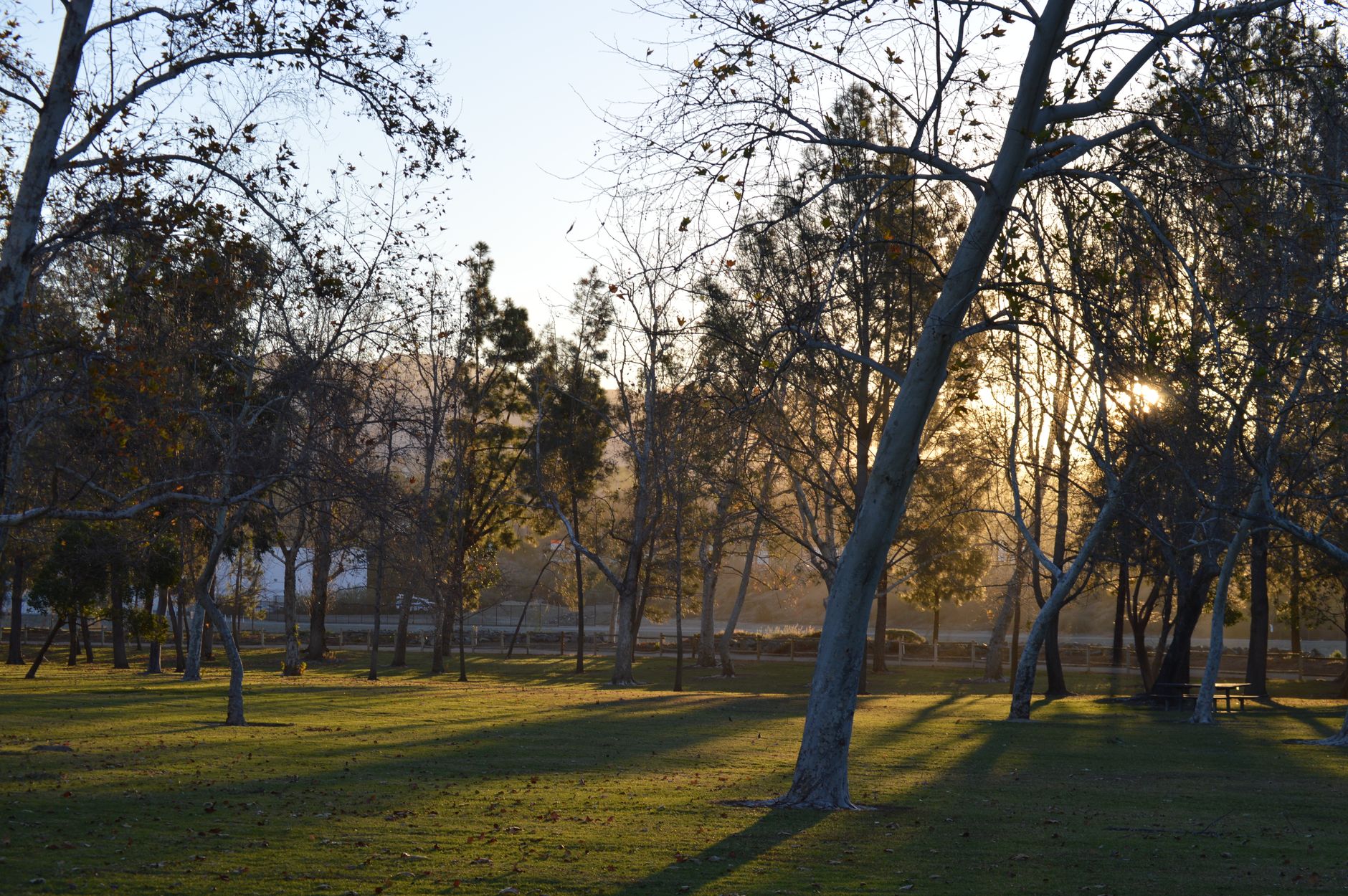 Dusk settling over a tidy neighbourhood park in Irvine, the setting around University Community Park's lit courts