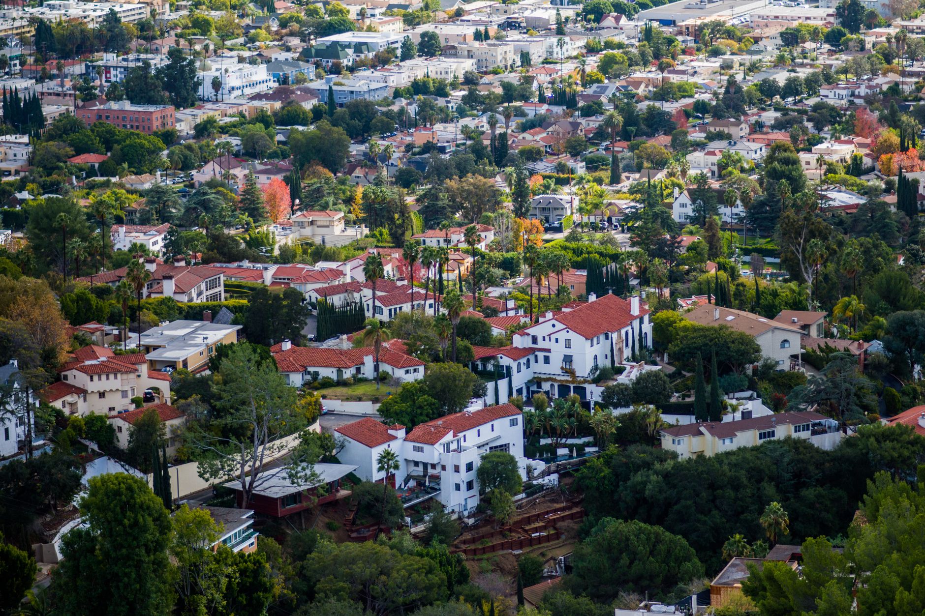 A busy Los Angeles neighborhood park with mature trees, near the Poinsettia courts
