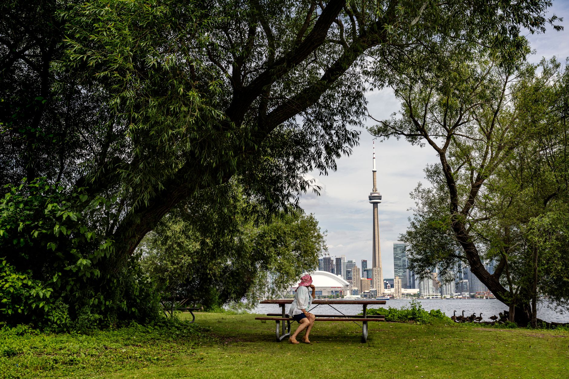 Public park courts in Scarborough, representative of Thomson Memorial Park in Toronto