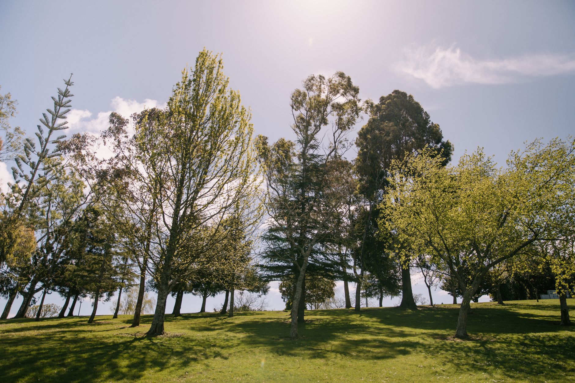 Public park courts with a practice wall, representative of Victoria Park in Hamilton