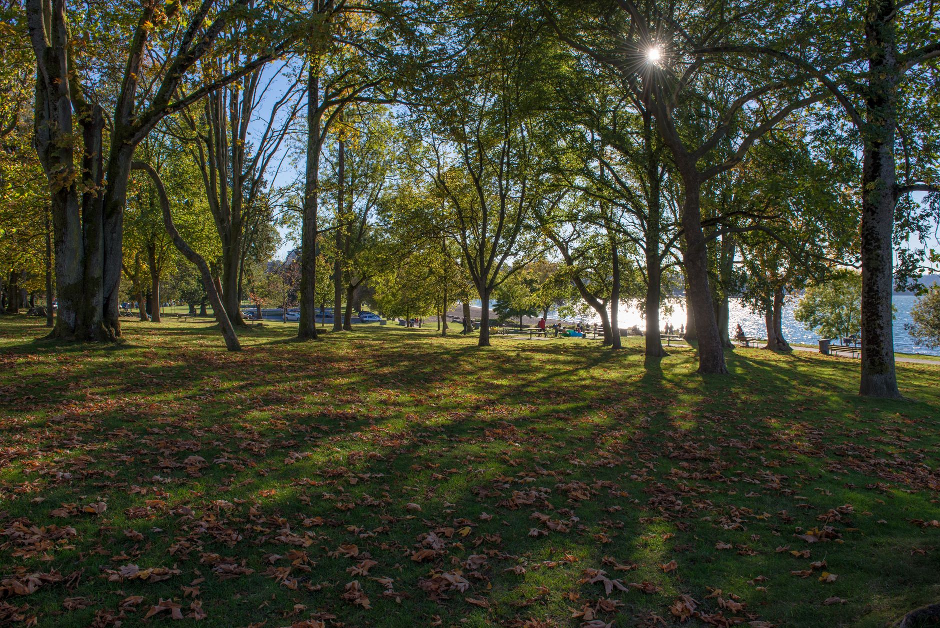 Green parkland and North Shore mountains near Confederation Park in Burnaby, home to free public tennis courts