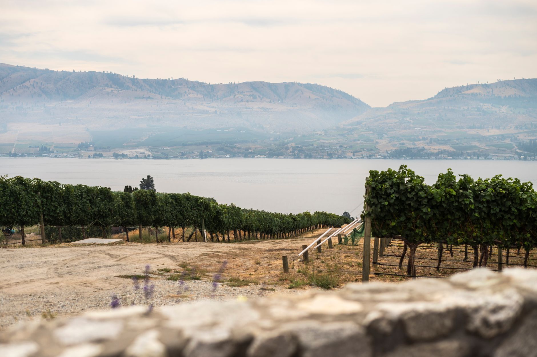 Okanagan Lake and the hills around Kelowna, BC, the region surrounding Edith Gay Park's public tennis courts