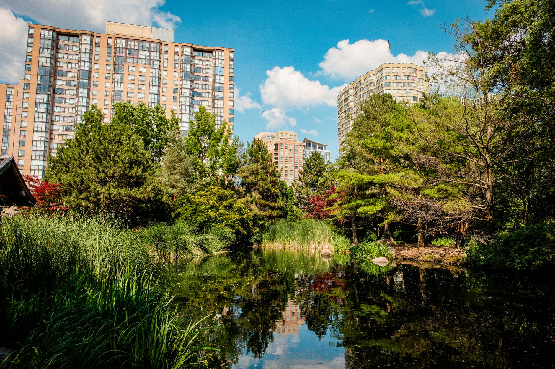 Open green space in Mississauga, the parkland setting around the Frank McKechnie tennis courts