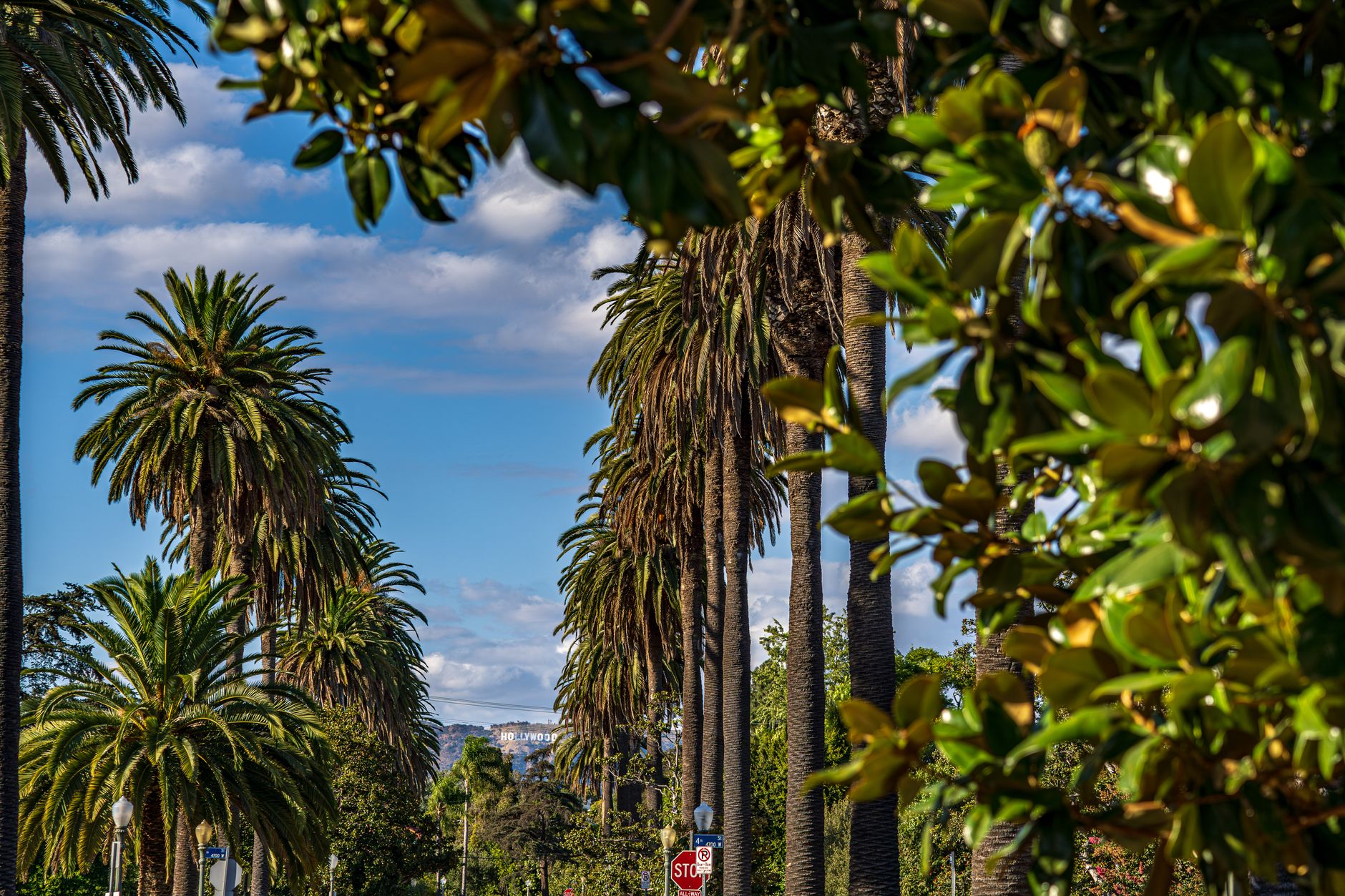 The Best Tennis Academies in LA & SoCal, Ranked