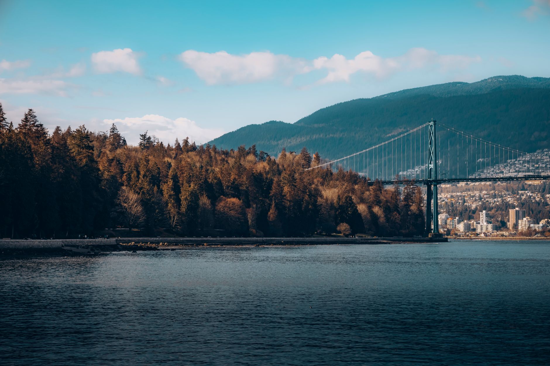 A leafy Vancouver park setting, representative of the public courts where Vancouver Tennis Training holds its lessons