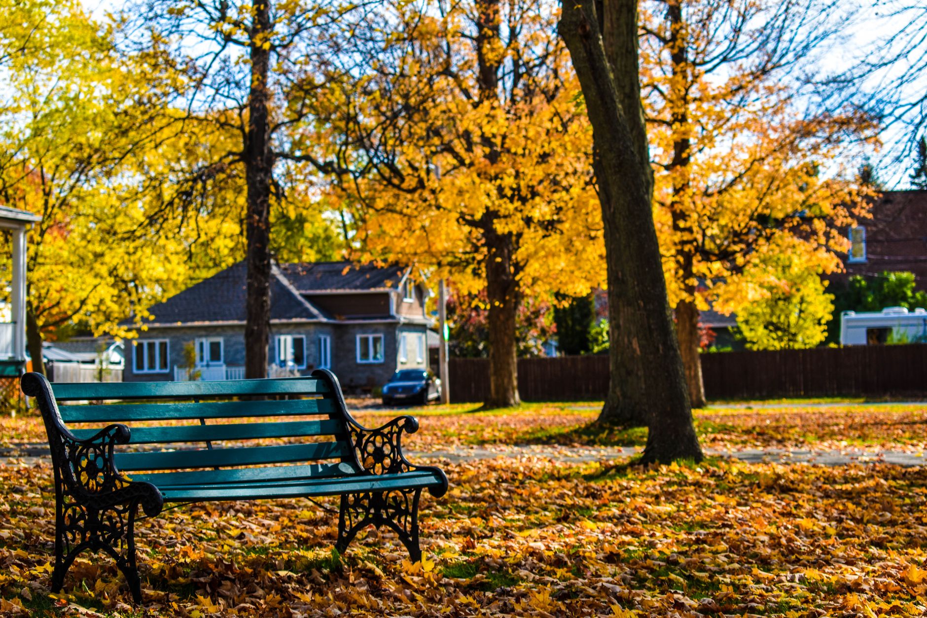 A suburban Mississauga park, the kind of green setting around Fairwinds Park's tennis courts