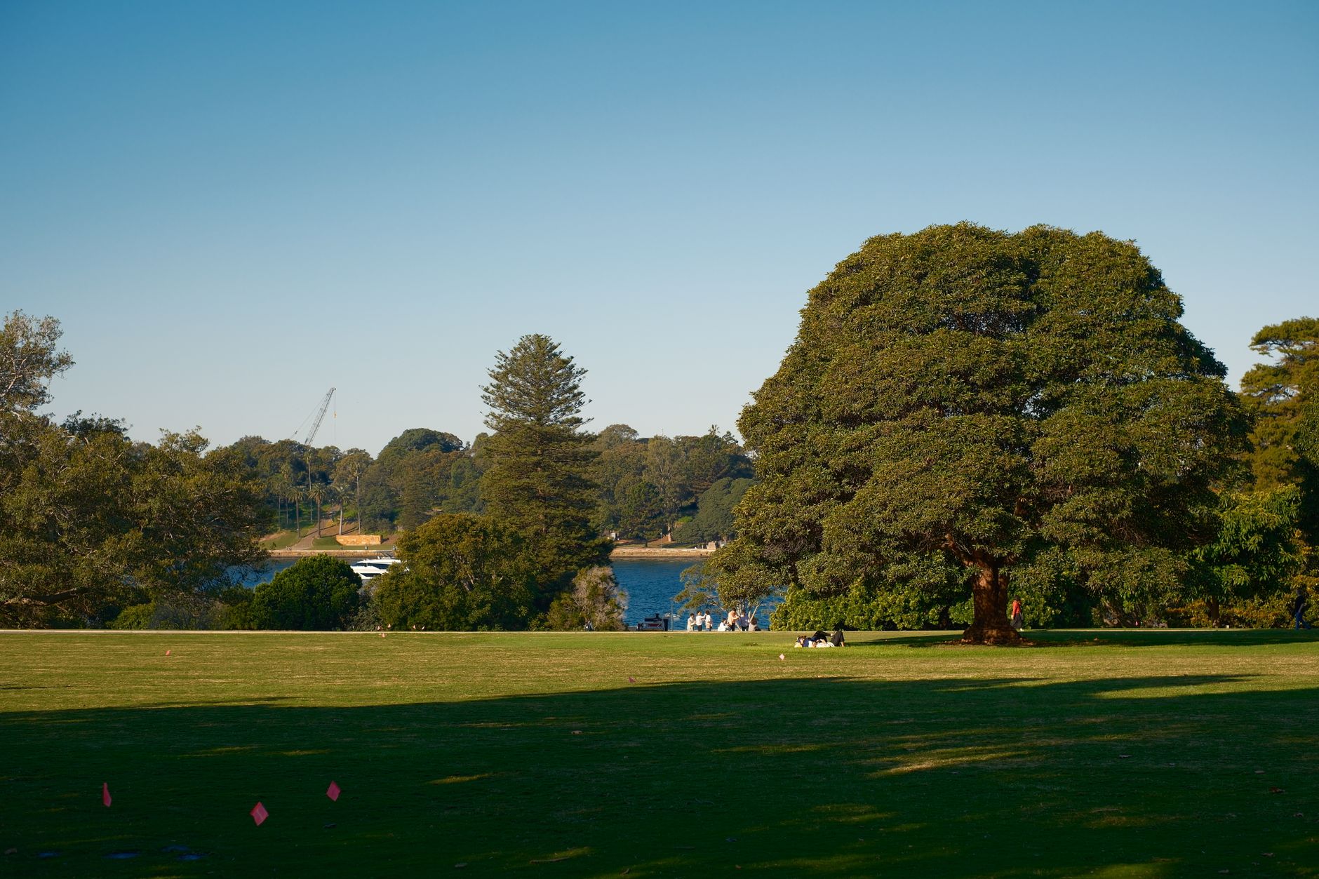 Autumn parkland in Richmond Hill near Newberry Park's tennis courts