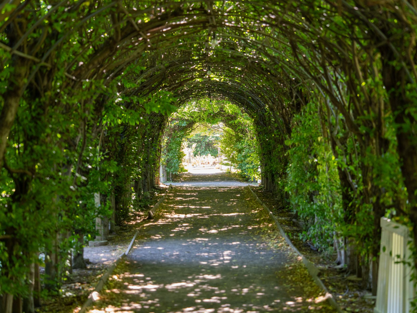 A green, tree-ringed heritage park lawn, representative of Queen's Park in New Westminster