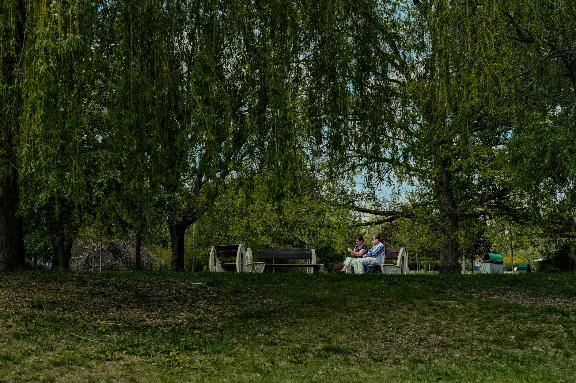 A shady neighbourhood park in Kitchener, Waterloo Region, on a summer morning