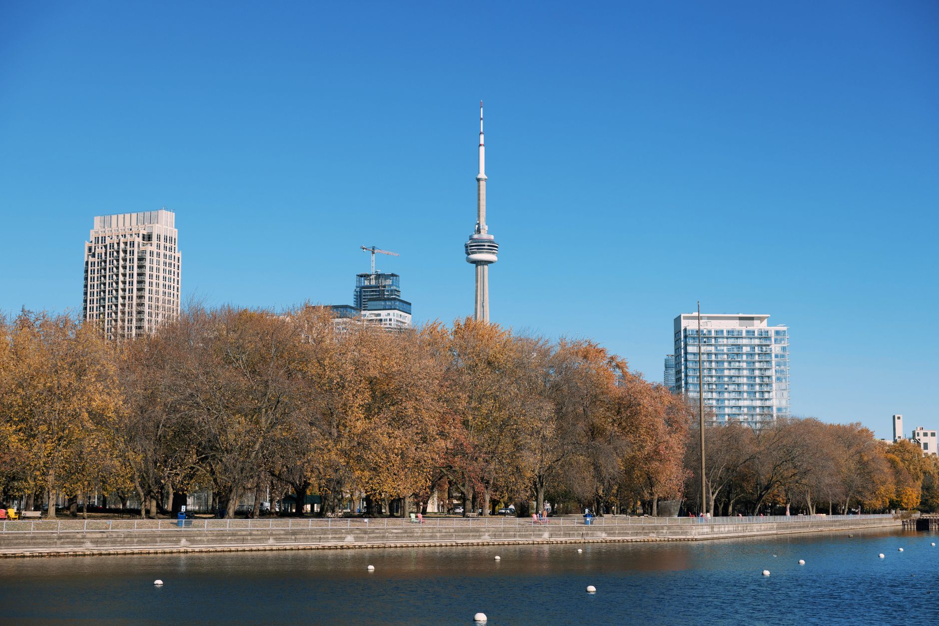 A tree-lined midtown Toronto park in autumn, near the Lytton Park neighbourhood