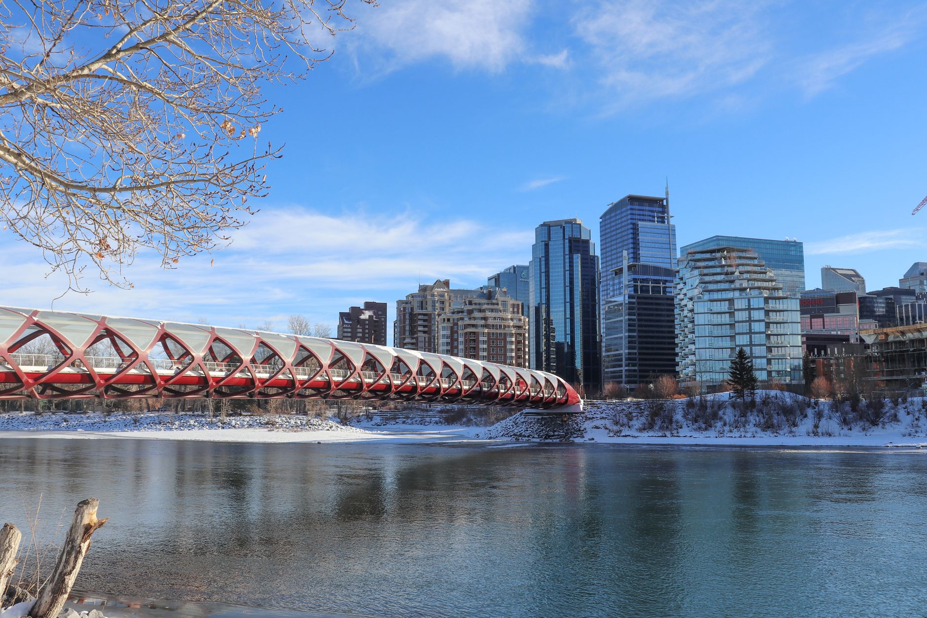 The Elbow River and mature trees in a Calgary, Alberta riverside park