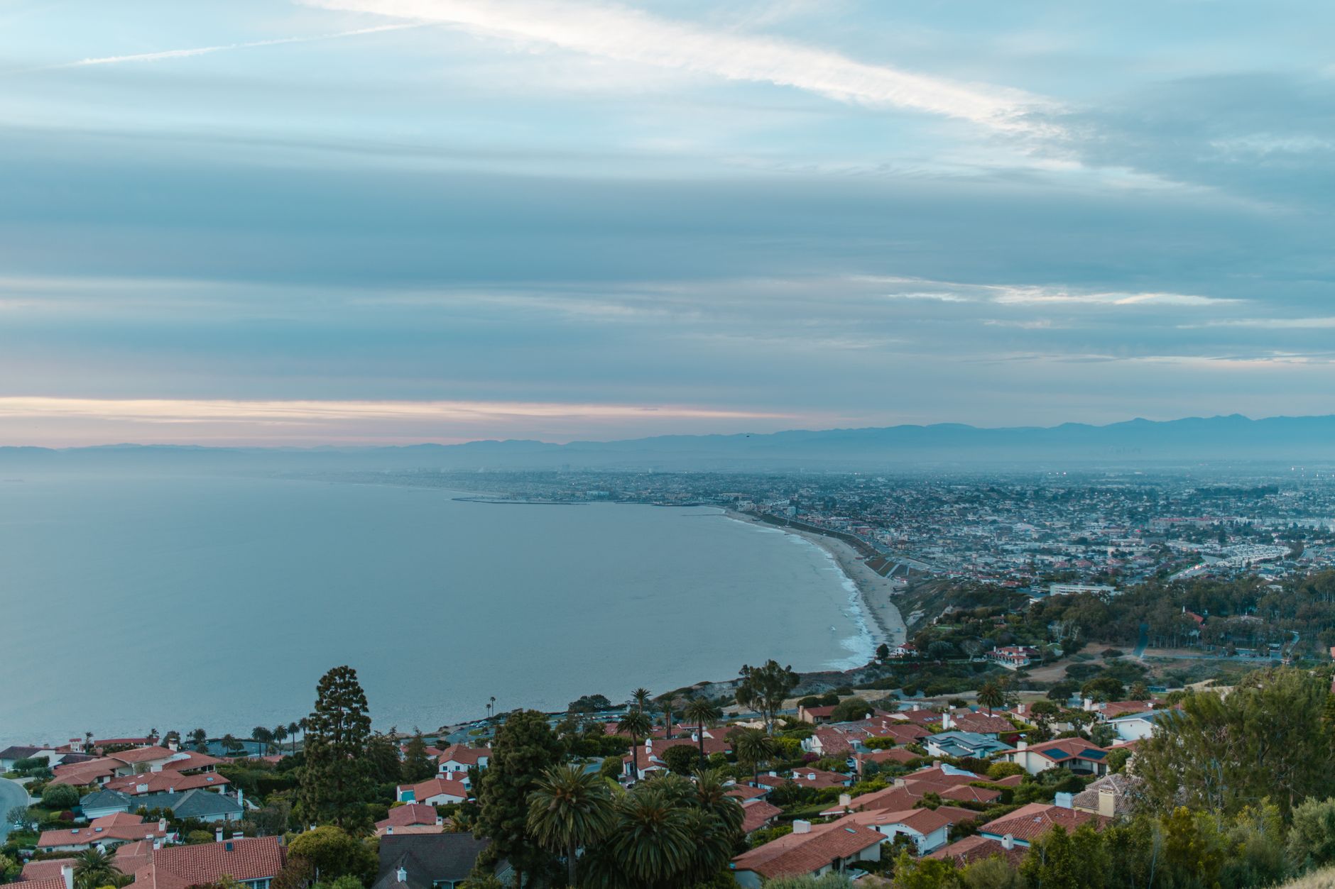 Coastal palms and manicured grounds near Pacific Palisades, Los Angeles