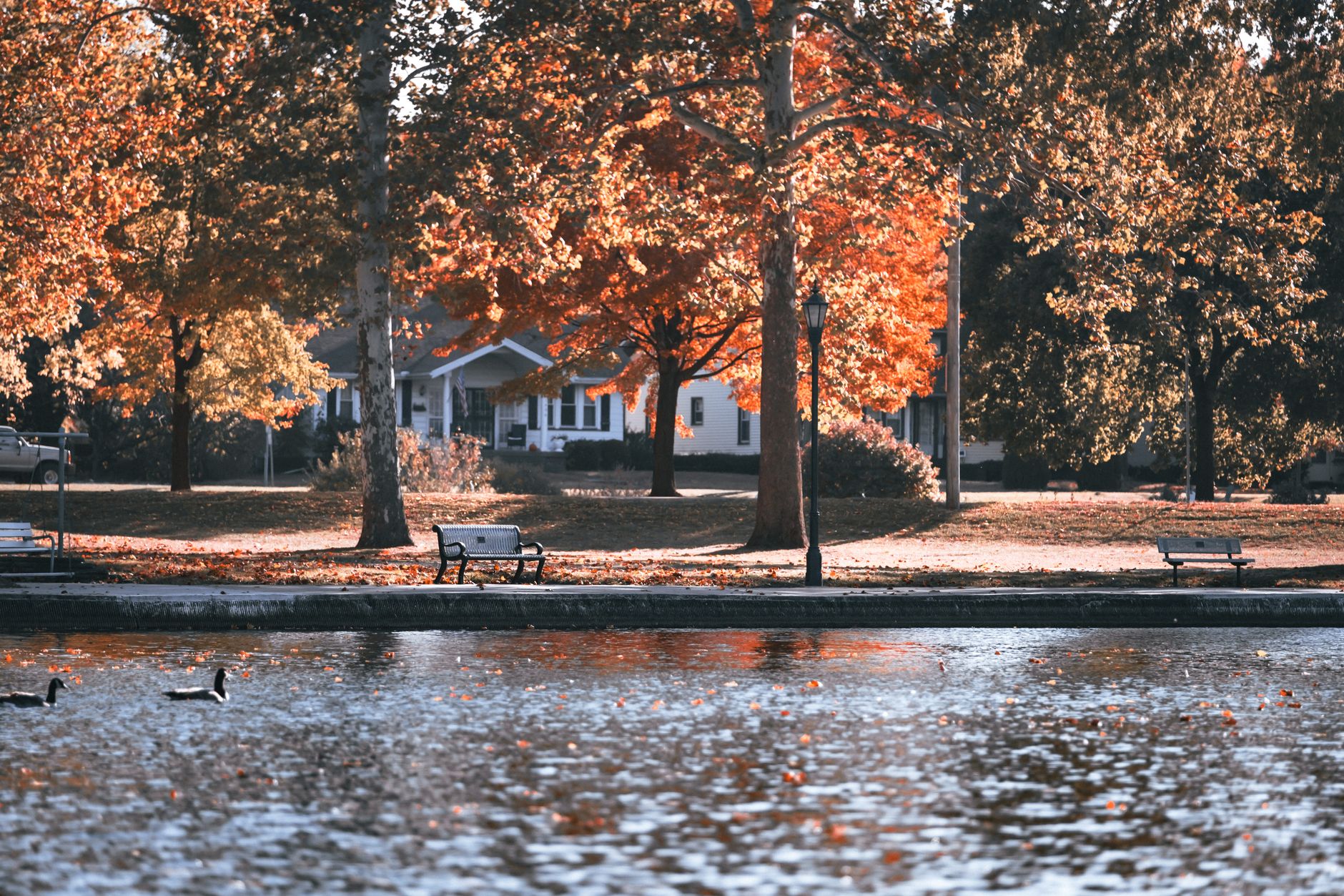 Autumn parkland near Victoriaville, Quebec