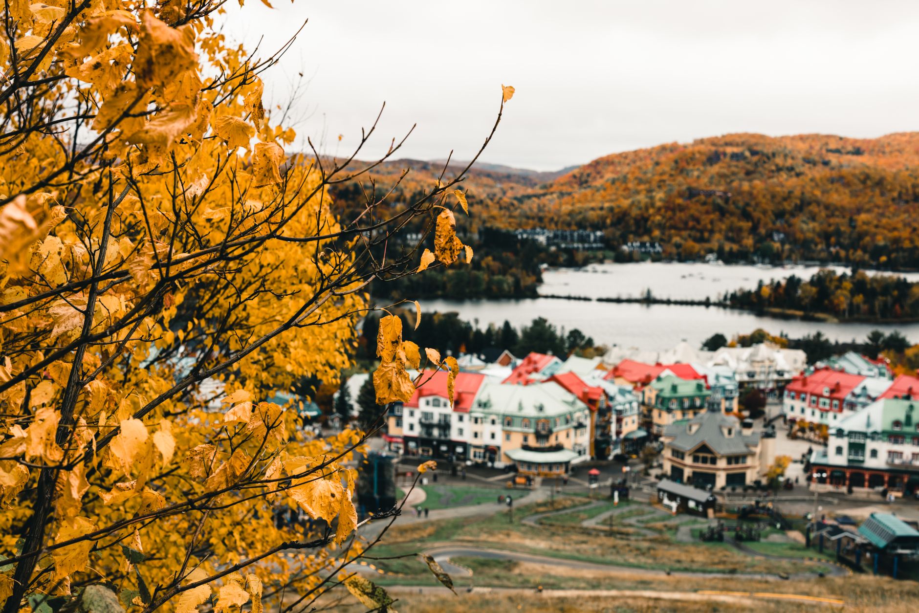 Highest-Rated Tennis Clubs in Montreal & Quebec, Ranked