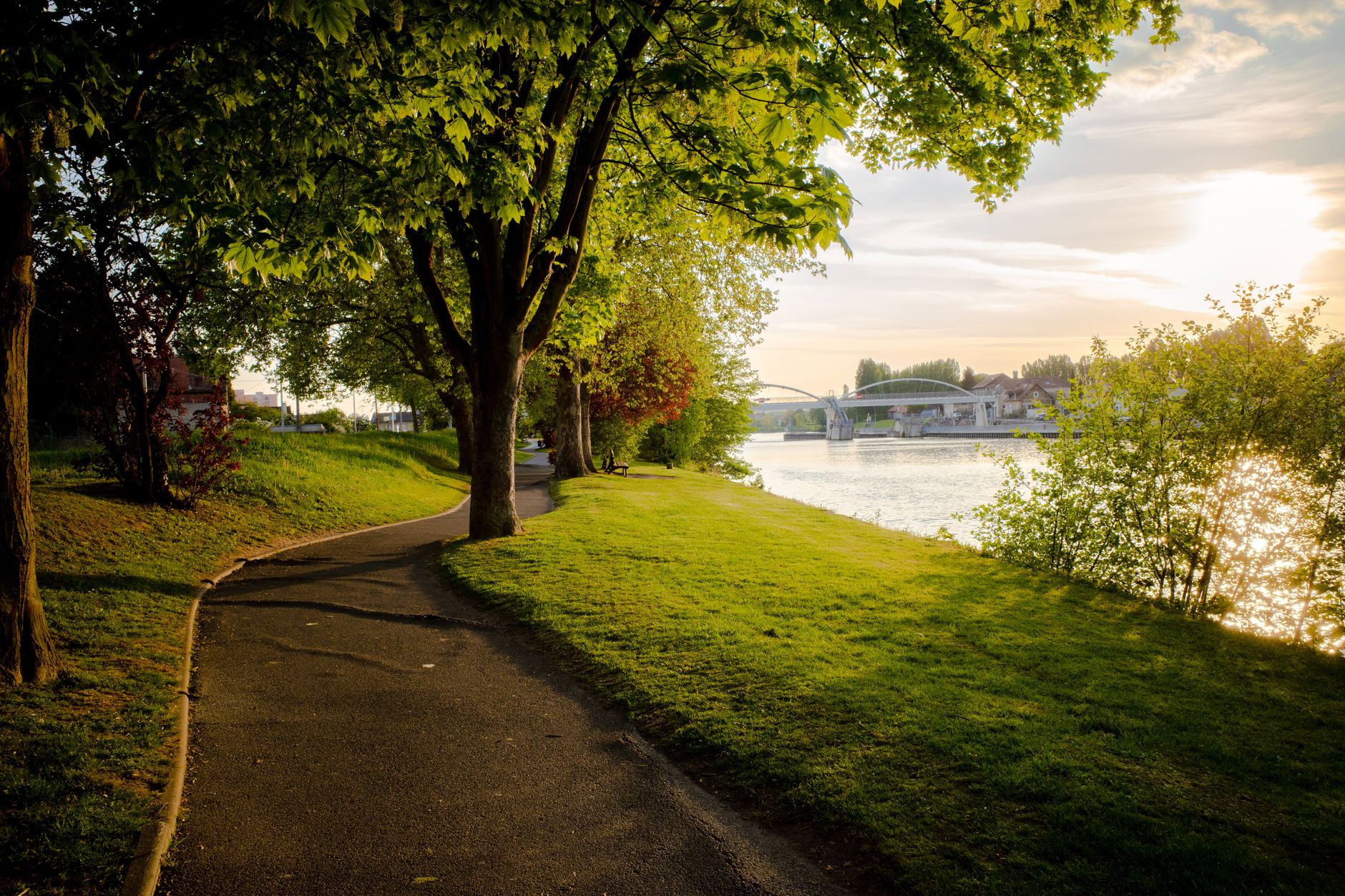 Riverside parkland and cottonwood trees along the Coquitlam River in Port Coquitlam