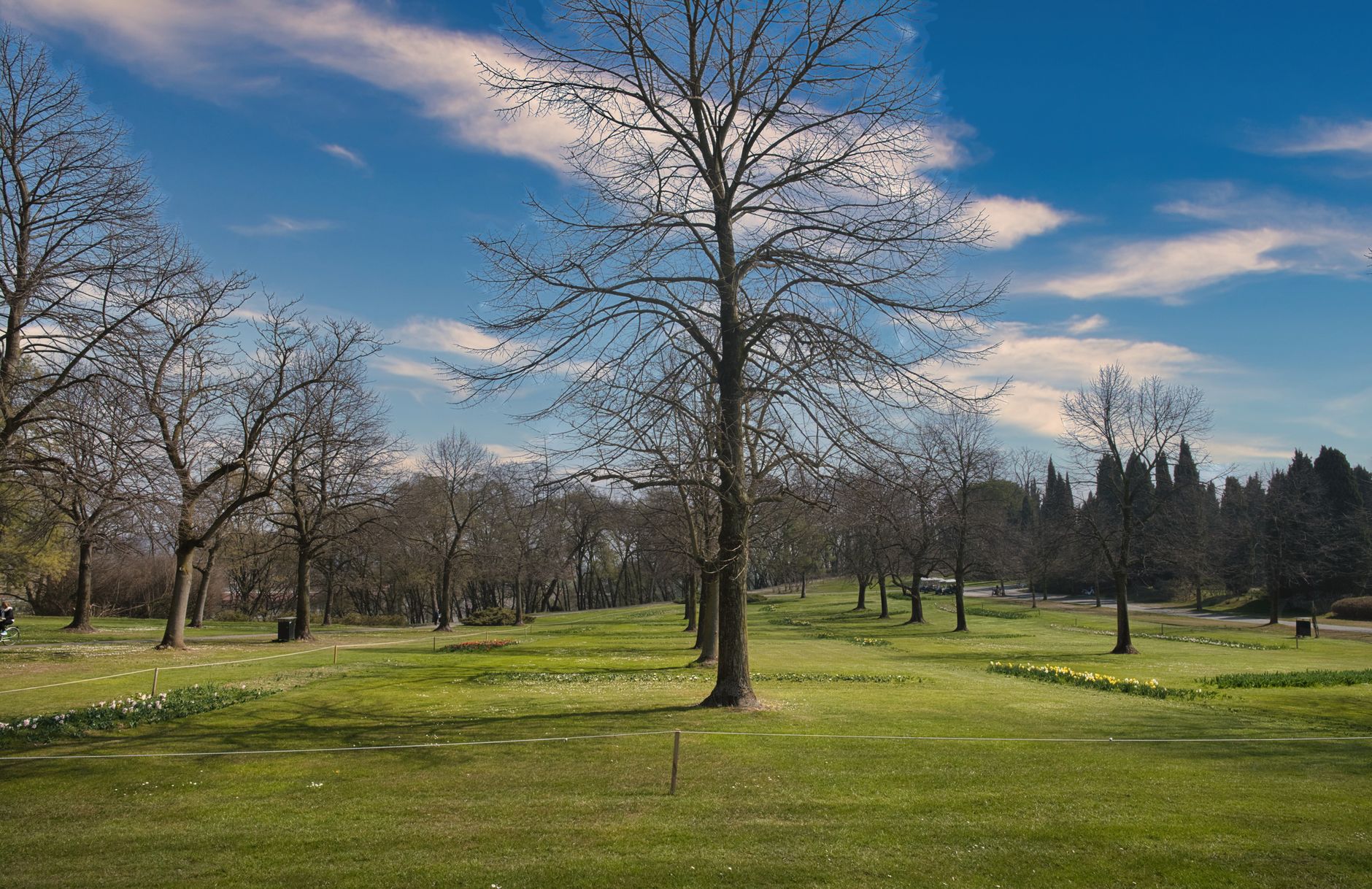 A leafy, upscale neighbourhood in Ottawa, the kind of setting around Rockcliffe Lawn Tennis Club