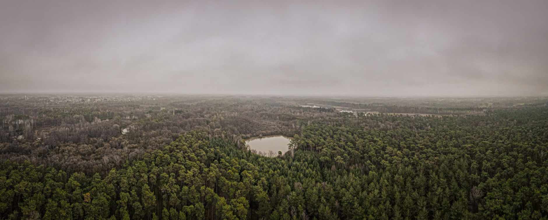 Forest-edge community court, representative of Forest Ridge Park in Ajax