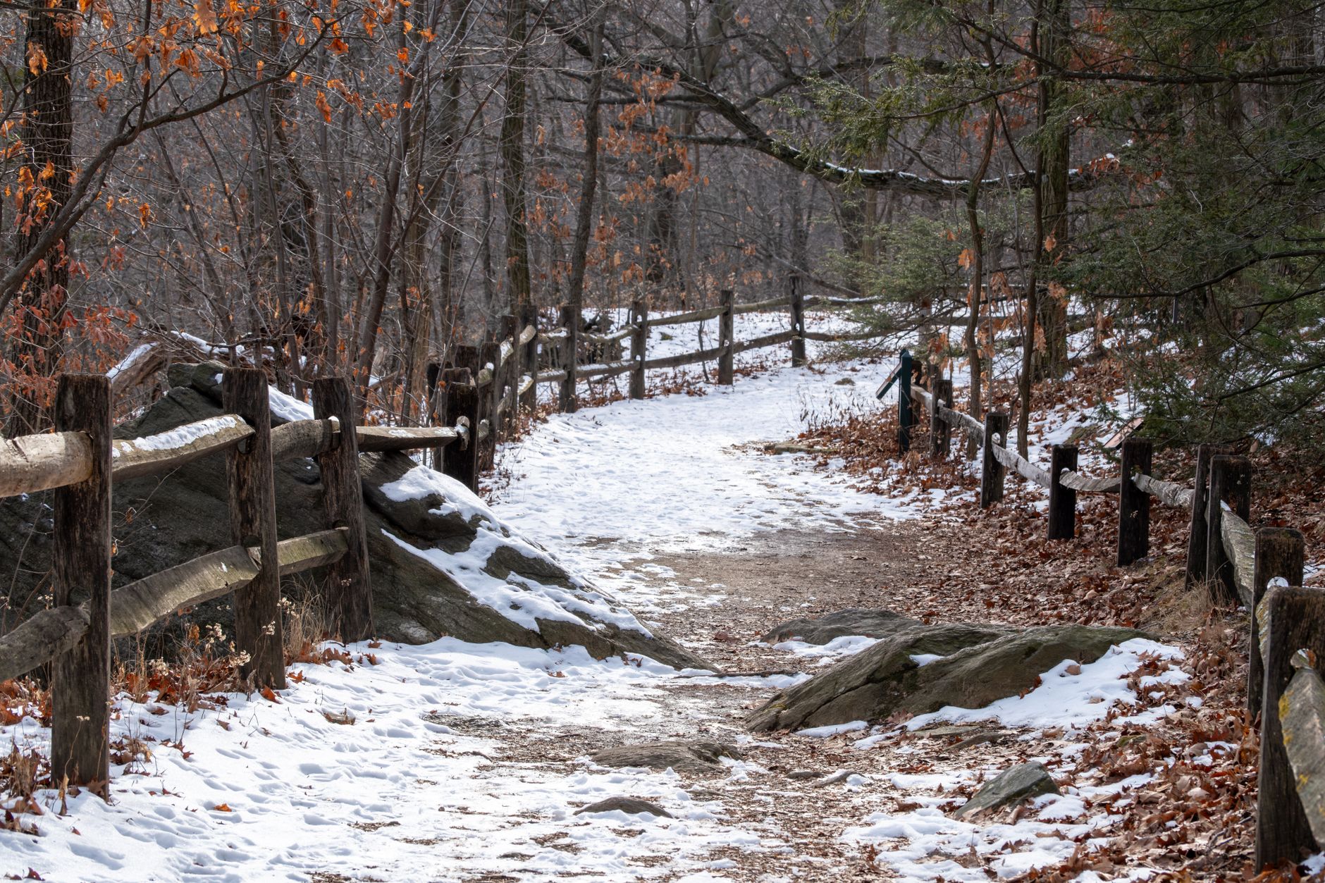 Woodland and open parkland in Van Cortlandt Park, the Bronx